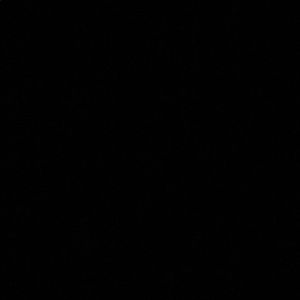 Meet your Posher, Ty